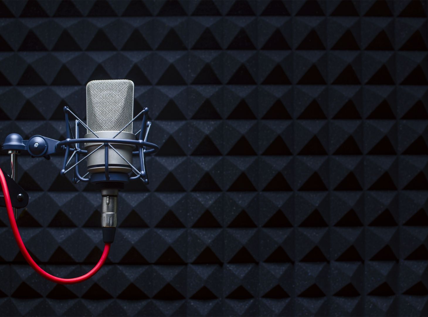 Microphone in soundproof booth