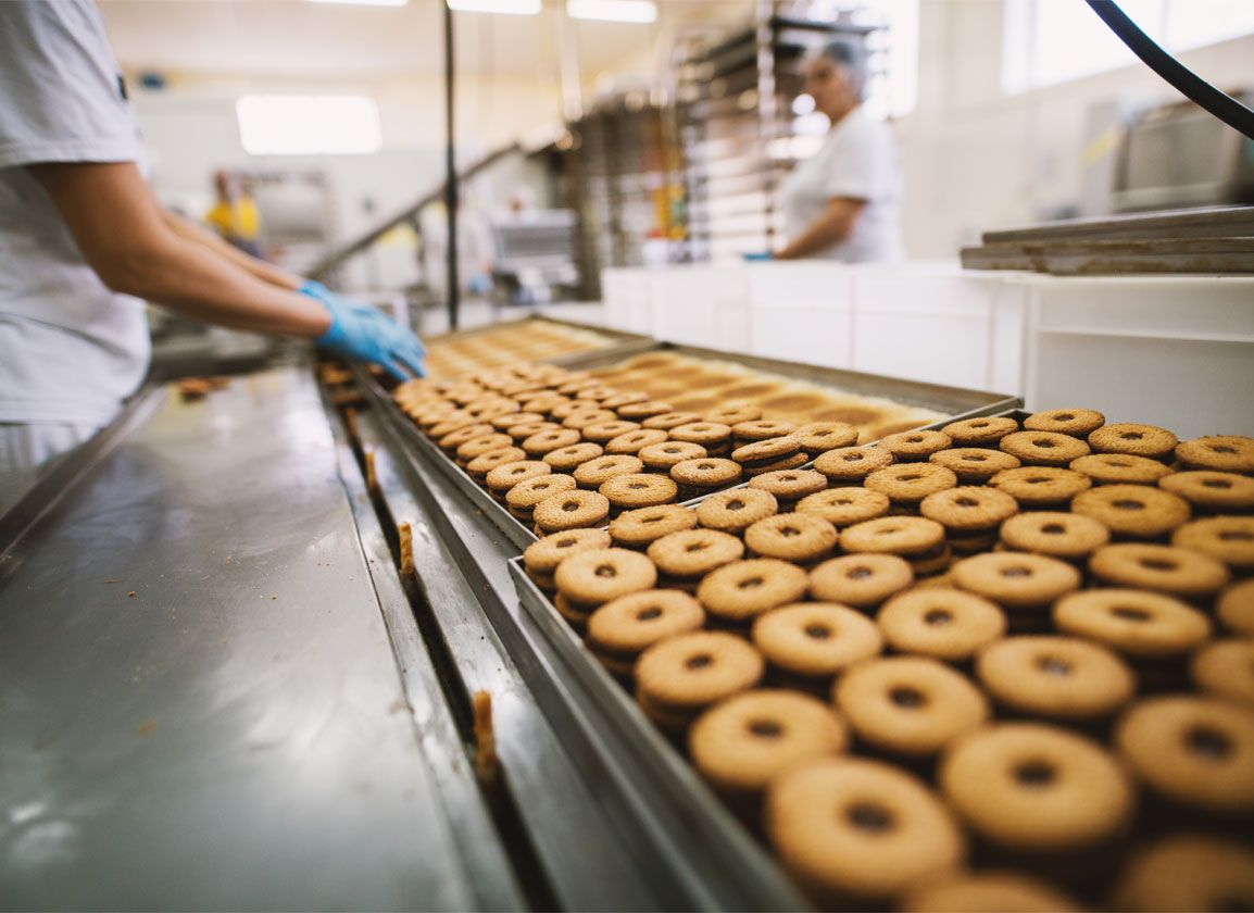 Biscuits on a conveyor belt